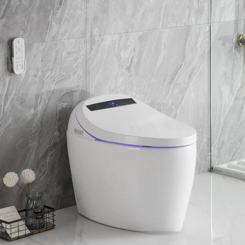 Smart toilet automatic power failure flush side button integrated toilet