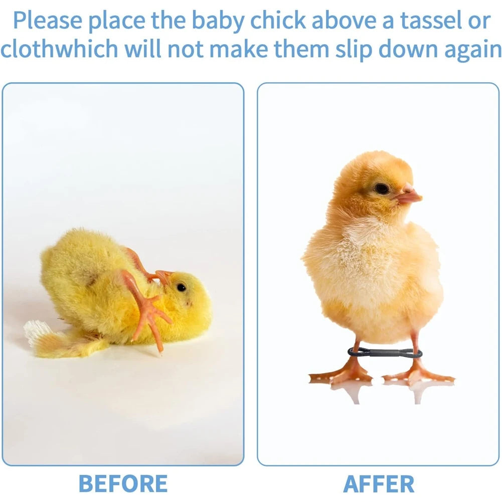 ABQR 100PCS Baby Chicken Splay Leg Hobble Brace Adjustable Poultry Leg Bands for Newborn Spraddle Leg Chick Bird Quails Ducks
