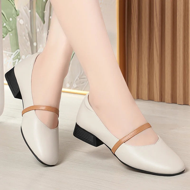AIYUQI Female Mary Jane Shoes 2025 New Autumn Leather Women's Shoes Fashion Large Size Business Dress Shoes Women